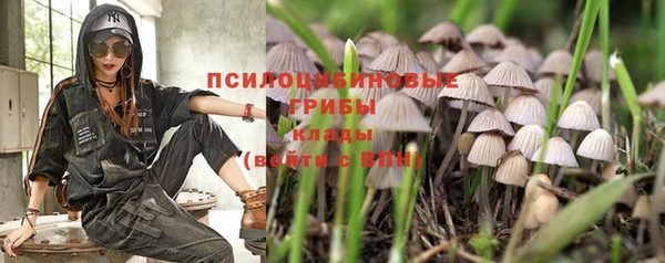ALPHA PVP Переславль-Залесский