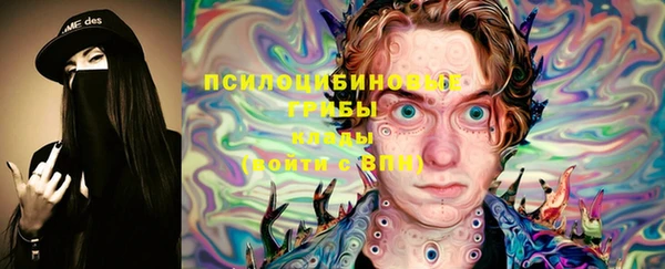 ALPHA PVP Переславль-Залесский