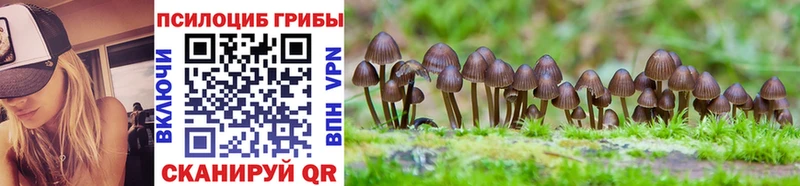 Купить закладки  Нариманов  Галлюциногенные грибы Psilocybine cubensis 
